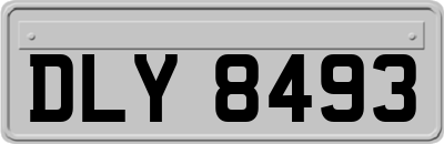 DLY8493