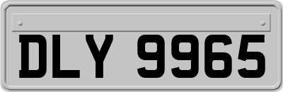 DLY9965