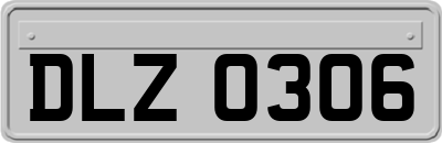 DLZ0306