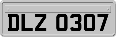 DLZ0307