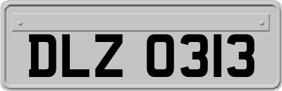 DLZ0313