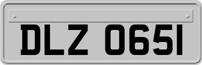 DLZ0651
