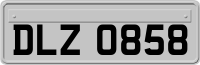 DLZ0858