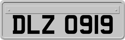 DLZ0919