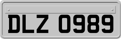 DLZ0989