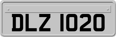 DLZ1020