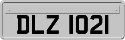 DLZ1021