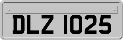 DLZ1025