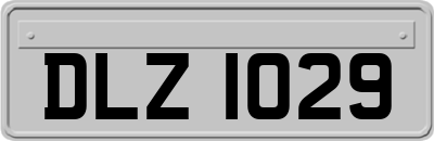 DLZ1029