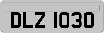 DLZ1030