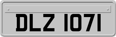 DLZ1071