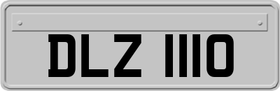 DLZ1110