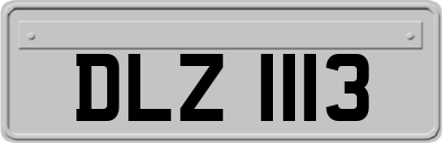 DLZ1113