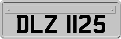 DLZ1125