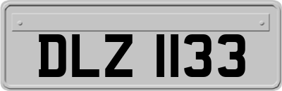 DLZ1133