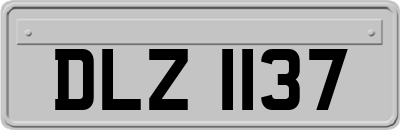 DLZ1137
