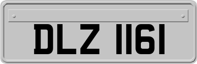 DLZ1161