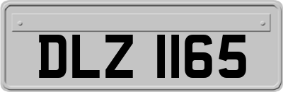 DLZ1165