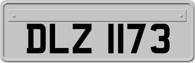 DLZ1173
