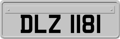 DLZ1181