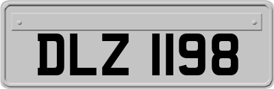 DLZ1198