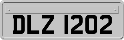 DLZ1202