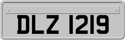 DLZ1219