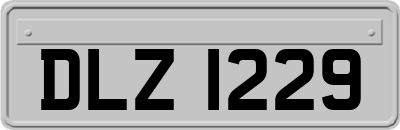 DLZ1229