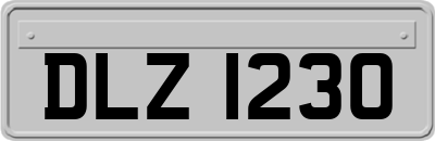 DLZ1230