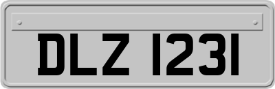 DLZ1231