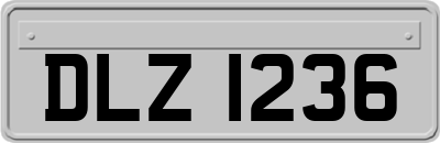 DLZ1236