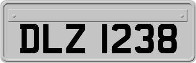 DLZ1238