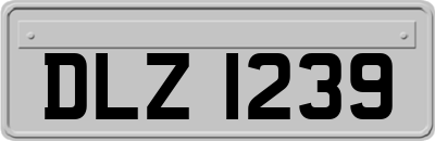 DLZ1239