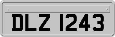DLZ1243