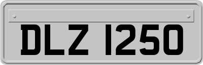DLZ1250