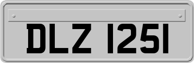 DLZ1251