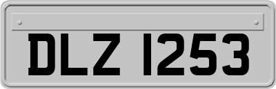 DLZ1253