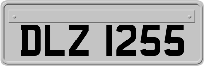 DLZ1255