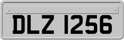 DLZ1256