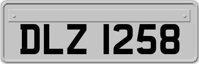 DLZ1258