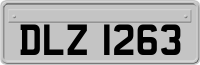 DLZ1263
