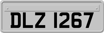 DLZ1267