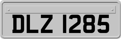 DLZ1285