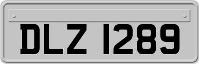 DLZ1289