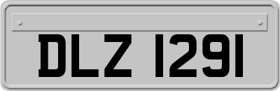 DLZ1291
