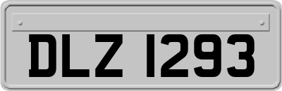 DLZ1293