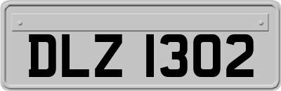 DLZ1302