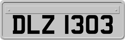 DLZ1303