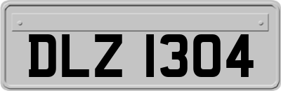 DLZ1304