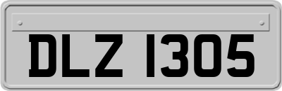 DLZ1305